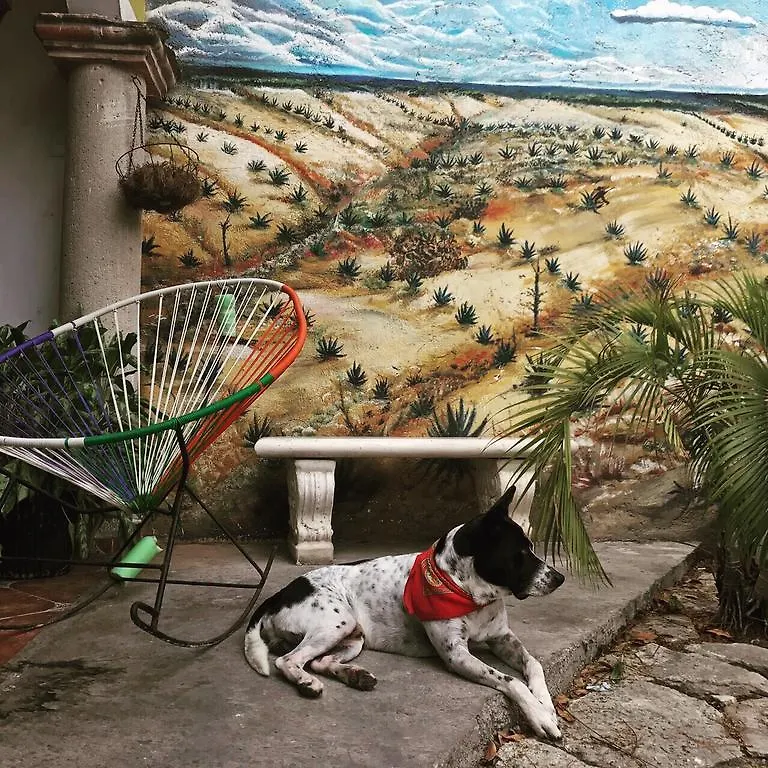 Hostel Ka Beh Cancun