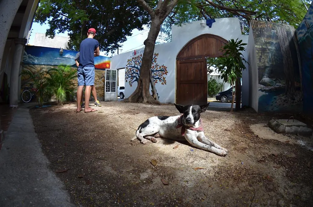 Hostel Ka Beh Cancun 0*,  Мексика